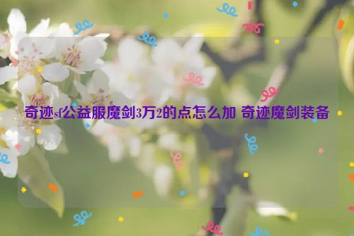 奇迹sf公益服魔剑3万2的点怎么加 奇迹魔剑装备