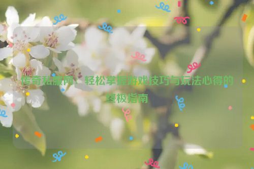 传奇私服网：轻松掌握游戏技巧与玩法心得的终极指南