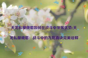 天龙私服峨眉如何在战斗中发挥优势(天龙私服峨眉：战斗中的九阳真诀完美诠释)