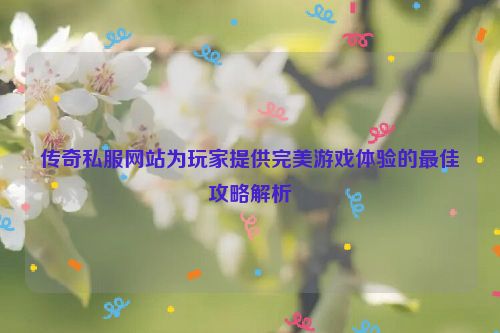 传奇私服网站为玩家提供完美游戏体验的最佳攻略解析