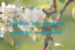 天龙私服攻略：如何正确计算减抗伤害(攻略绝密技巧，完美掌握减抗伤害)