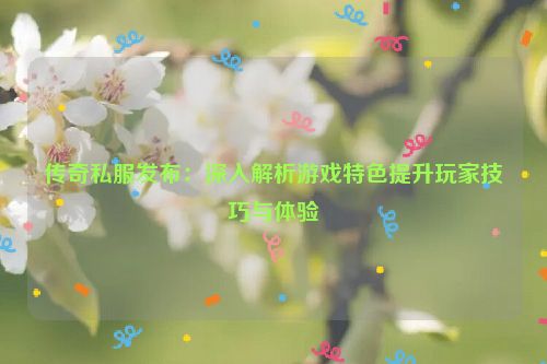 传奇私服发布：深入解析游戏特色提升玩家技巧与体验