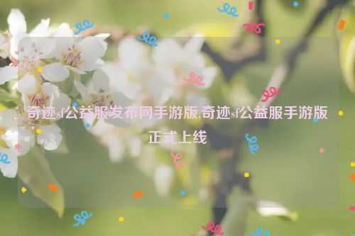 奇迹sf公益服发布网手游版,奇迹sf公益服手游版正式上线