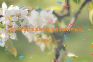 探究传奇私服单机版多倍攻击属性如何实现高效战斗