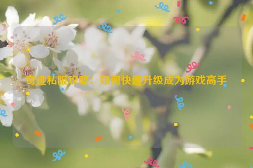 奇迹私服攻略：如何快速升级成为游戏高手