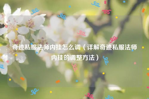 奇迹私服法师内挂怎么调（详解奇迹私服法师内挂的调整方法）