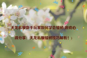 天龙私服新手玩家如何学会缝纫(游戏心得分享：天龙私服缝纫技巧解析！)