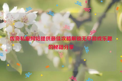 传奇私服网站提供最佳攻略解锁无尽游戏乐趣的秘籍分享