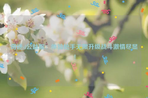 奇迹sf公益服：体验枪手无限升级战斗激情尽显！