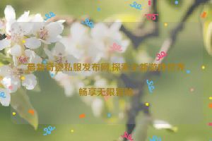 最新奇迹私服发布网,探索全新游戏世界畅享无限冒险