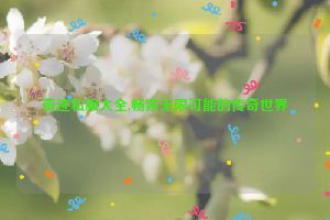 奇迹私服大全,畅游无限可能的传奇世界