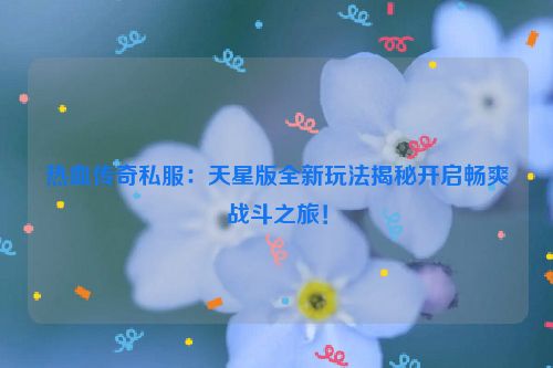 热血传奇私服：天星版全新玩法揭秘开启畅爽战斗之旅！