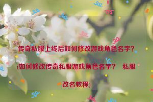 传奇私服上线后如何修改游戏角色名字？(如何修改传奇私服游戏角色名字？  私服改名教程)