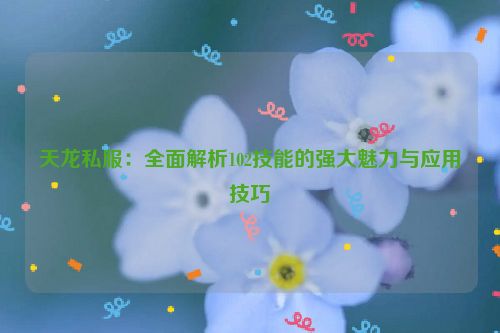 天龙私服：全面解析102技能的强大魅力与应用技巧