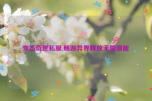 变态奇迹私服,畅游异界释放无限潜能