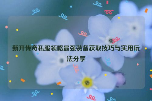 新开传奇私服领略最强装备获取技巧与实用玩法分享