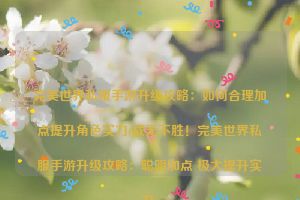 完美世界私服手游升级攻略：如何合理加点提升角色实力(战无不胜！完美世界私服手游升级攻略：聪明加点 极大提升实力)