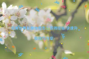 完美世界私服地图怎么获得经验(快速升级技巧分享)