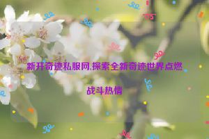 新开奇迹私服网,探索全新奇迹世界点燃战斗热情