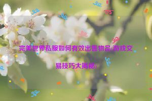 完美世界私服如何有效出售物品(游戏交易技巧大揭秘)