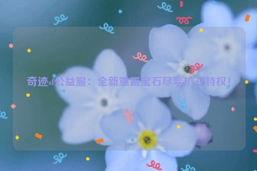 奇迹sf公益服：全新重置宝石尽享扩充特权！