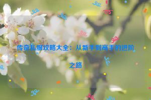 传奇私服攻略大全：从新手到高手的进阶之路