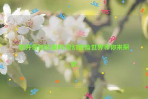 新开奇迹私服网,奇幻冒险世界等你来探索