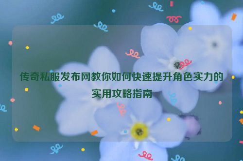 传奇私服发布网教你如何快速提升角色实力的实用攻略指南