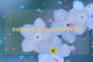 奇迹私服外挂,梦幻世界无限探索新体验