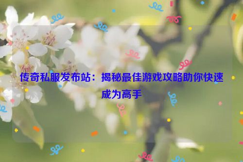 传奇私服发布站：揭秘最佳游戏攻略助你快速成为高手