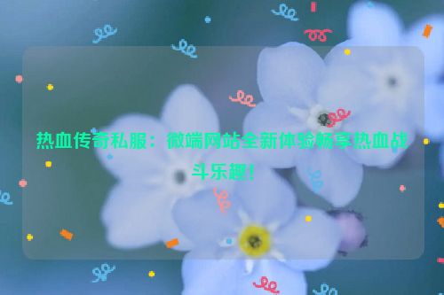 热血传奇私服：微端网站全新体验畅享热血战斗乐趣！