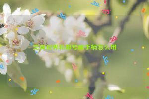 完美世界私服专属手柄怎么用