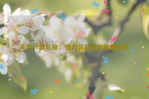 天龙八部私服：强力装备助你称霸武林