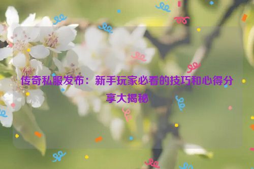 传奇私服发布：新手玩家必看的技巧和心得分享大揭秘