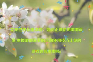 完美世界私服攻略：如何正确使用嘟嘟管家(掌握嘟嘟管家的正确使用技巧让你的游戏体验更顺畅)