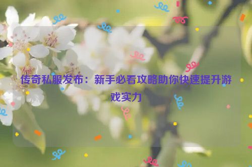 传奇私服发布：新手必看攻略助你快速提升游戏实力