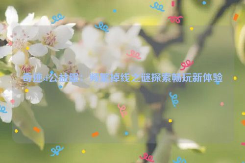 奇迹sf公益服：频繁掉线之谜探索畅玩新体验