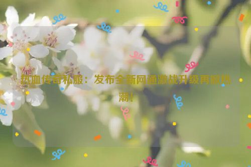 热血传奇私服：发布全新网通激战升级再掀热潮！