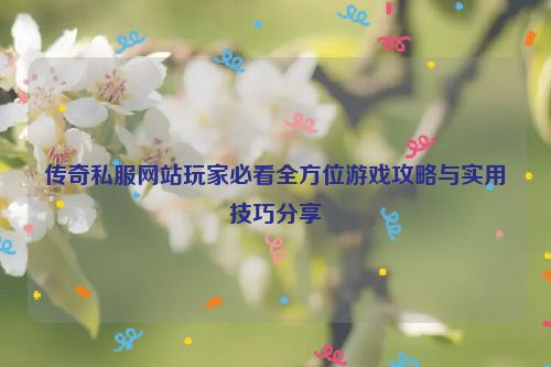 传奇私服网站玩家必看全方位游戏攻略与实用技巧分享