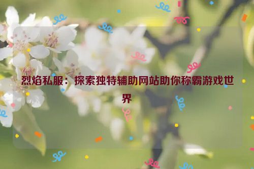 烈焰私服：探索独特辅助网站助你称霸游戏世界