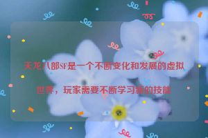 天龙八部SF是一个不断变化和发展的虚拟世界，玩家需要不断学习新的技能