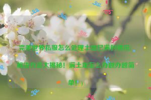 完美世界私服怎么处理土地已满的情况(解决方法大揭秘！满土地怎么办越办越简单！)