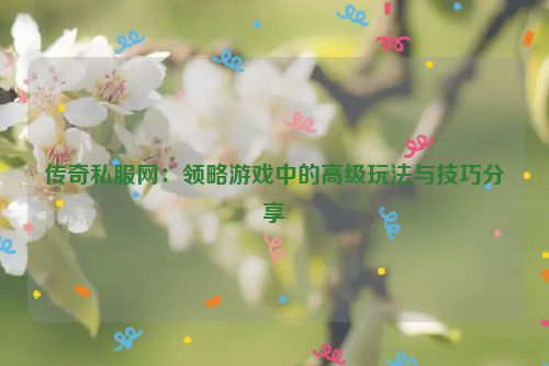 传奇私服网：领略游戏中的高级玩法与技巧分享