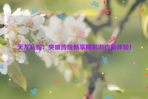 天龙私服：突破传统畅享精彩游戏新体验！