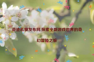 奇迹私服发布网,探索全新游戏世界的奇幻冒险之旅