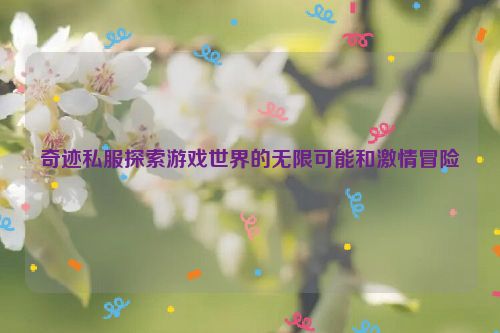 奇迹私服探索游戏世界的无限可能和激情冒险