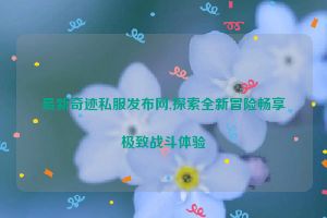 最新奇迹私服发布网,探索全新冒险畅享极致战斗体验