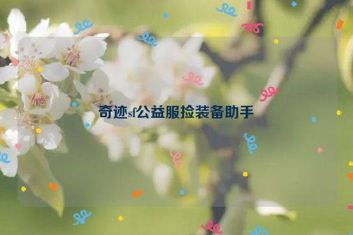 奇迹sf公益服捡装备助手