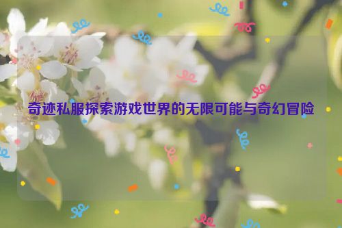 奇迹私服探索游戏世界的无限可能与奇幻冒险