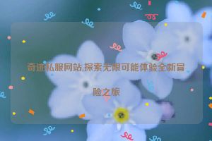 奇迹私服网站,探索无限可能体验全新冒险之旅